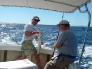dscf0119.jpg