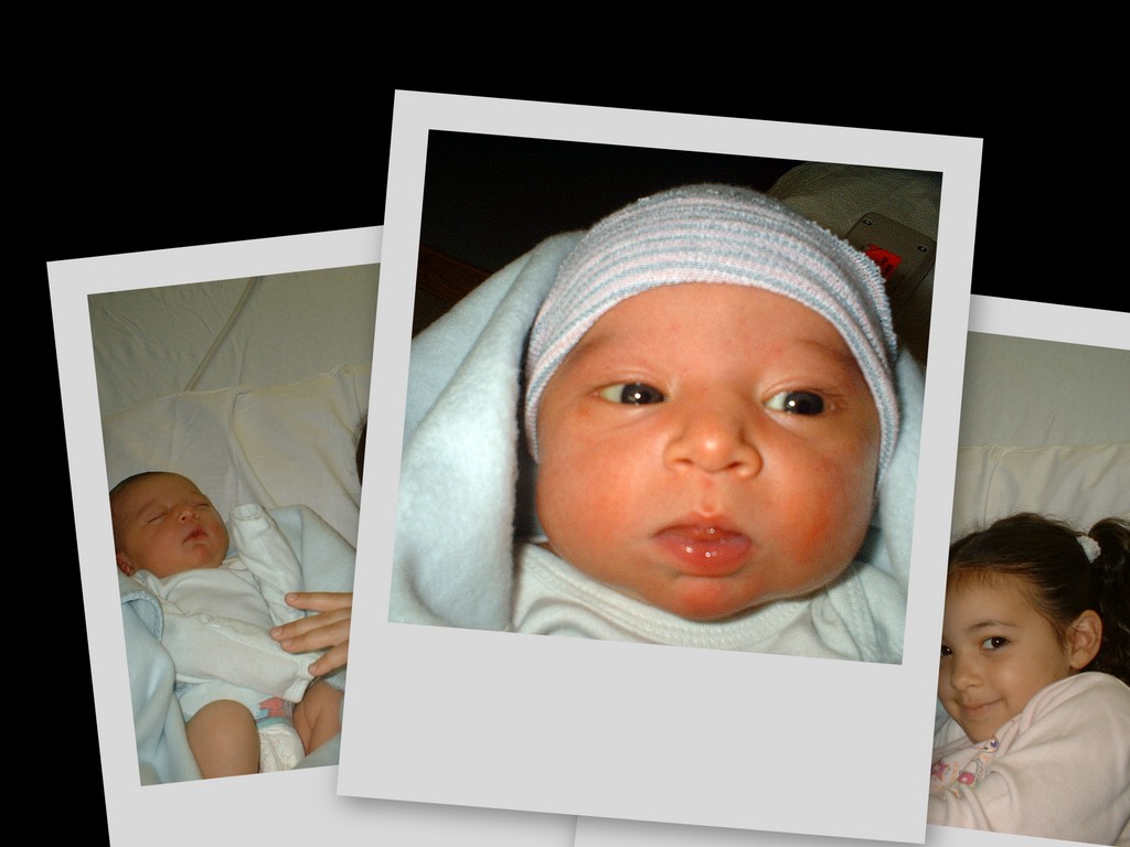 collage1.jpg